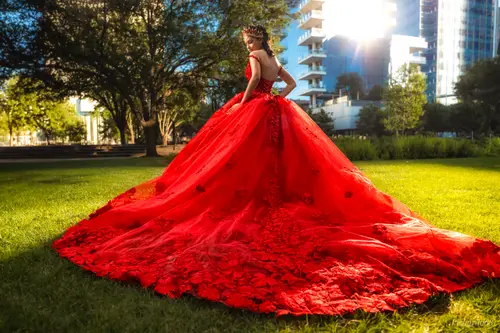 Pichardo's Photography — xv session