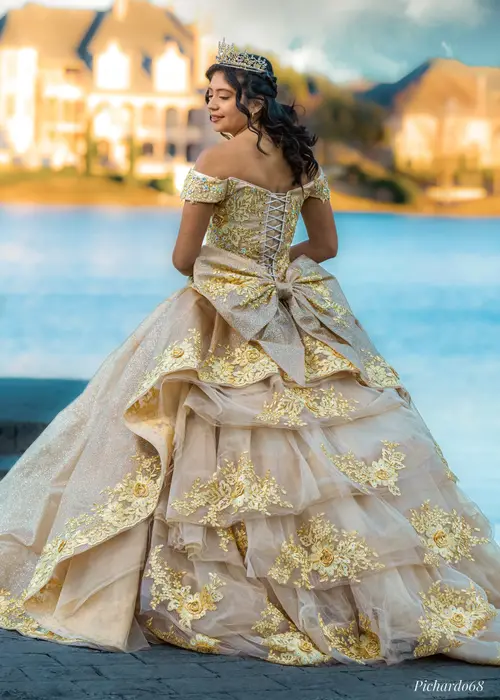 Pichardo's Photography — xv session